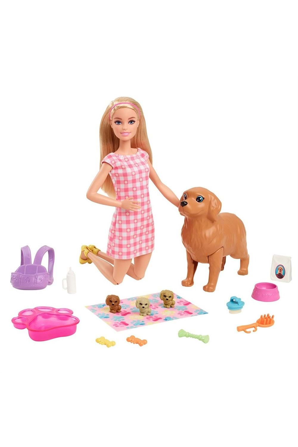 Barbie ve Yeni Doğan Köpekler HCK75