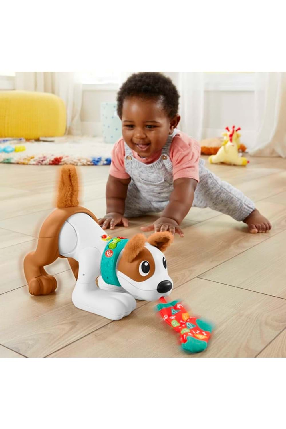 Fisher Price Emeklemeyi ve Saymayı Öğreten Köpekçik HHH13