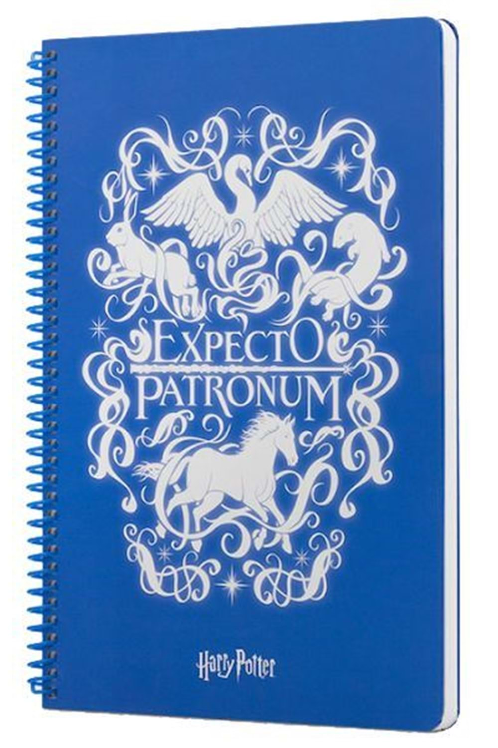 Harry Potter Expecto Spiralli Defter Çizgili