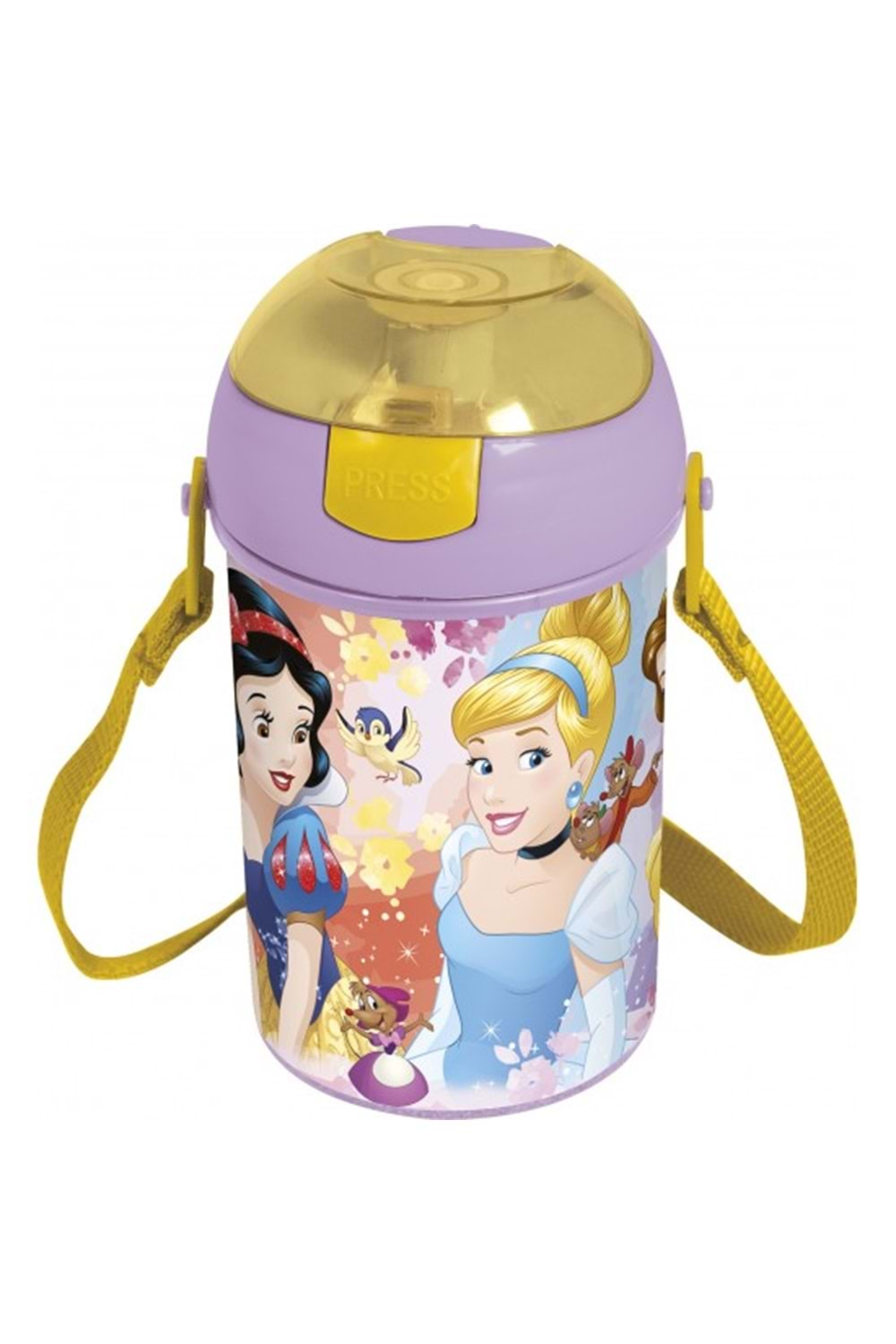 Disney Princess Pipetli Suluk 450 ml