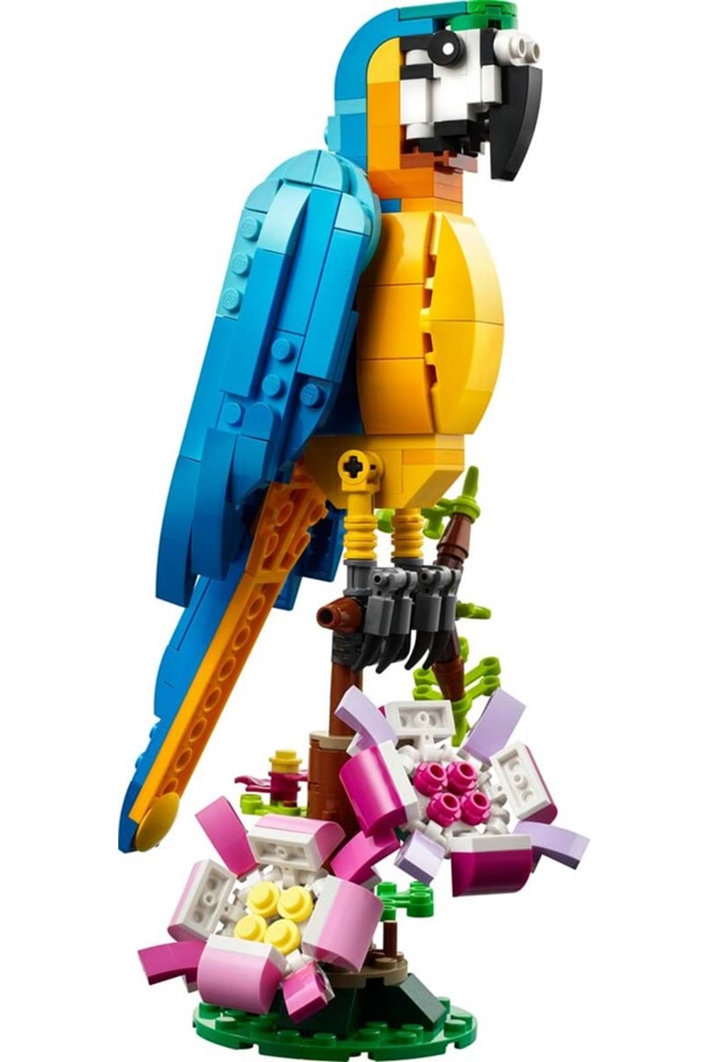 Lego Creator 3 in 1 Egzotik Papağan 31136