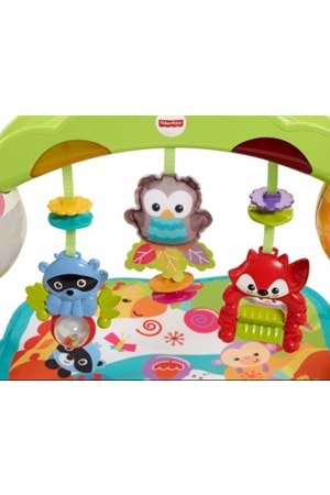 Fisher Price Oyun Dünyası Jimlastik Merkezi 0 ay+ CCB70
