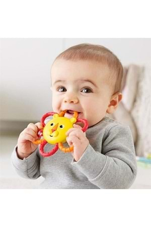 Fisher Price Aslan Diş Kaşıyıcı 3 ay+ GGF04