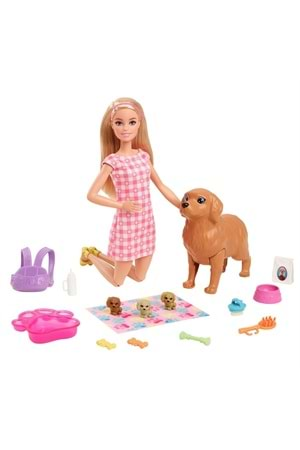 Barbie ve Yeni Doğan Köpekler HCK75