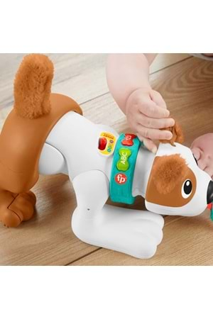 Fisher Price Emeklemeyi ve Saymayı Öğreten Köpekçik HHH13