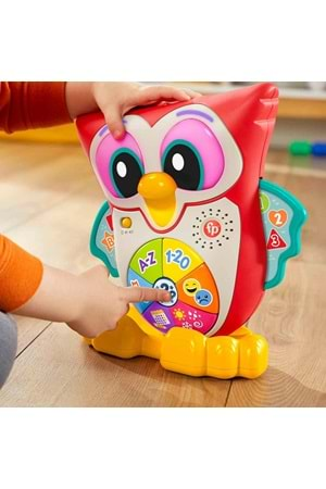 Fisher Price Linkimals Bilge Baykuş HJN61