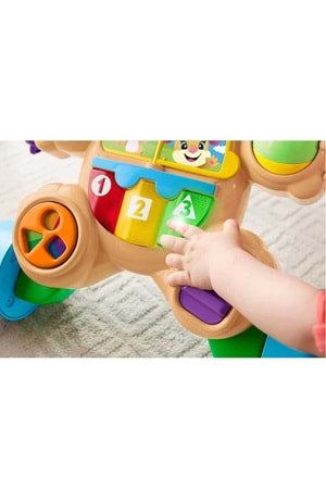 Fisher Price Eğitici Köpekçik Yürüteç FTG10