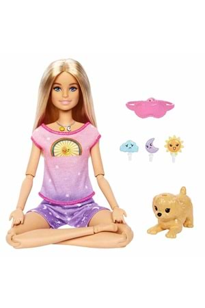 Barbie Meditasyon Yapıyor HHX64