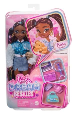 Barbie Dream Besties Barbie Brooklyn Bebek HYC22