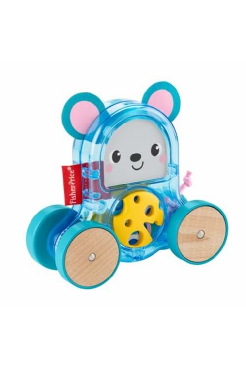 Fisher Price Sevimli Araçlar 6 ay+ GJW12