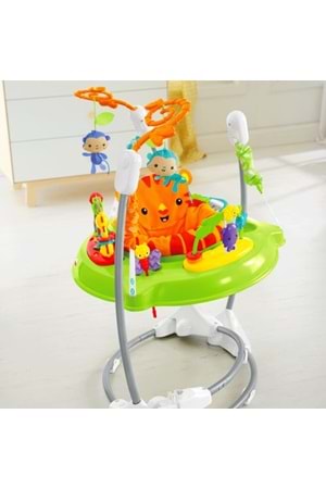 Fisher Price Yağmur Ormanı Jumpero 6 ay+ CHM91