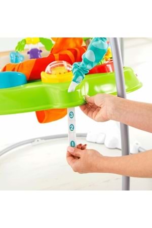 Fisher Price Yağmur Ormanı Jumpero 6 ay+ CHM91