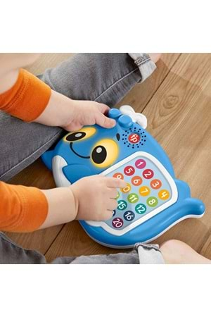 Fisher Price Linkimals Sayı Sayan Balina HJR72