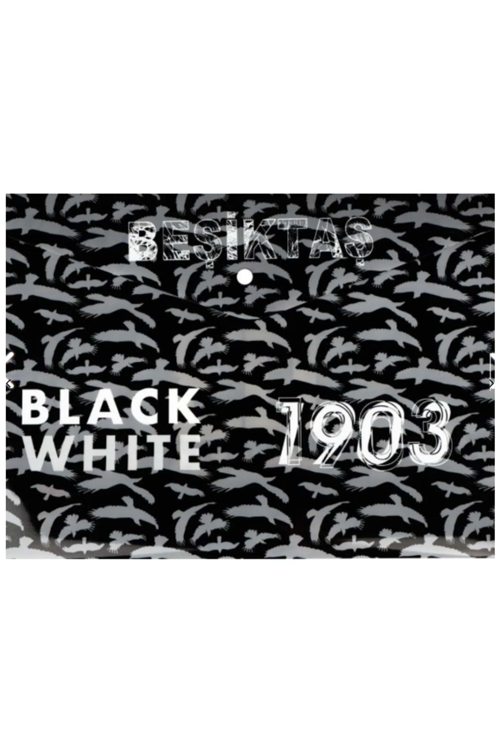 Beşiktaş Çıt Çıt Dosya 464501