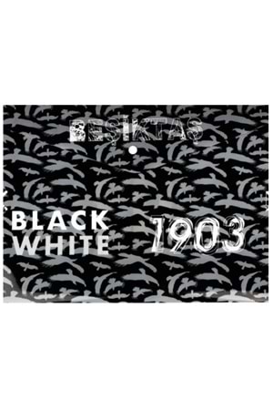 Beşiktaş Çıt Çıt Dosya 464501